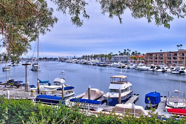 Marina with boats and waterfront homes